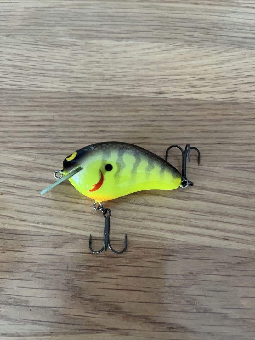 mpblures wild boar MR